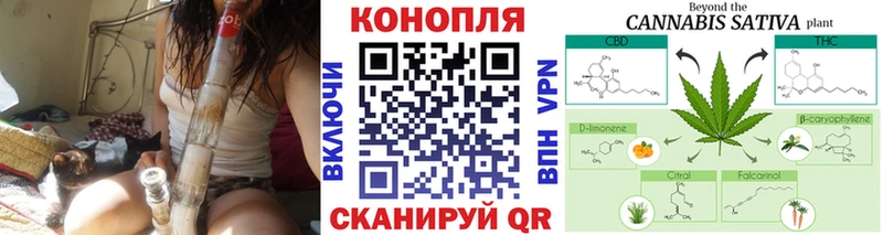 Виды наркотиков купить Суровикино Галлюциногенные грибы  Бошки Шишки  Меф  АМФ  COCAIN  ГАШИШ  Alpha-PVP 