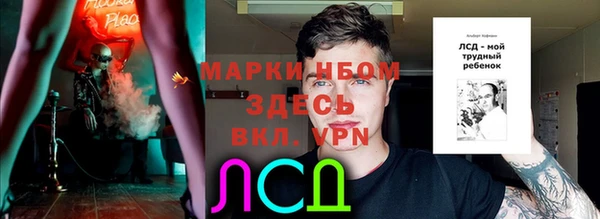 прущая мука Арсеньев