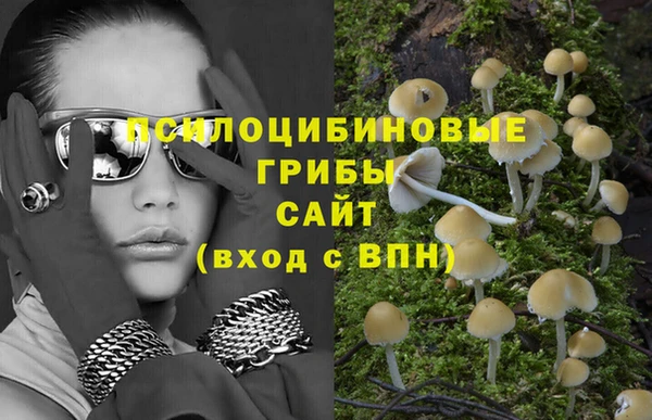 прущая мука Арсеньев